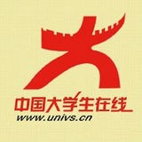 中国大地保险软件