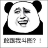 表情大全100软件