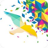 一个奇鸽app软件