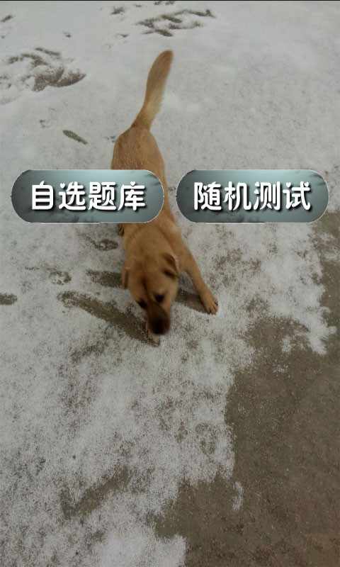 中考物理辅导软件
