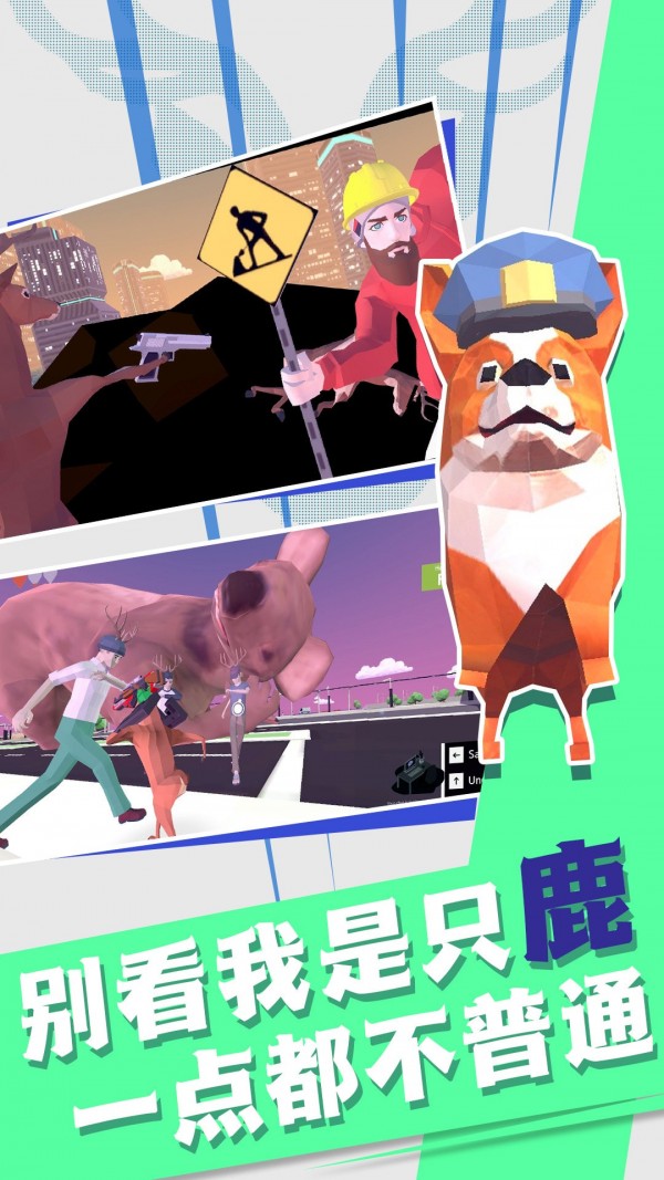 非常普通的动物