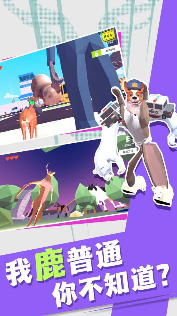 非常普通的动物