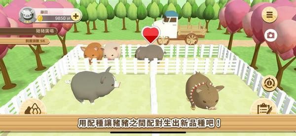 像素养殖鸡手游