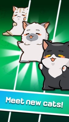 猫主子的日常手游